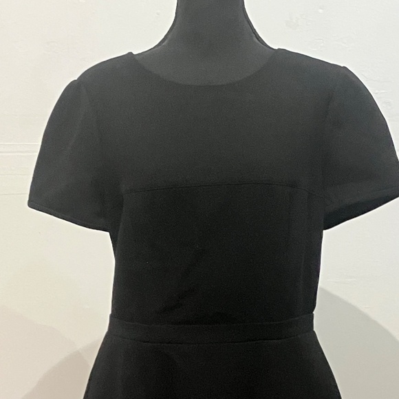 BCBG Black/Tan Colorblock Shift Dress - Picture 13 of 14